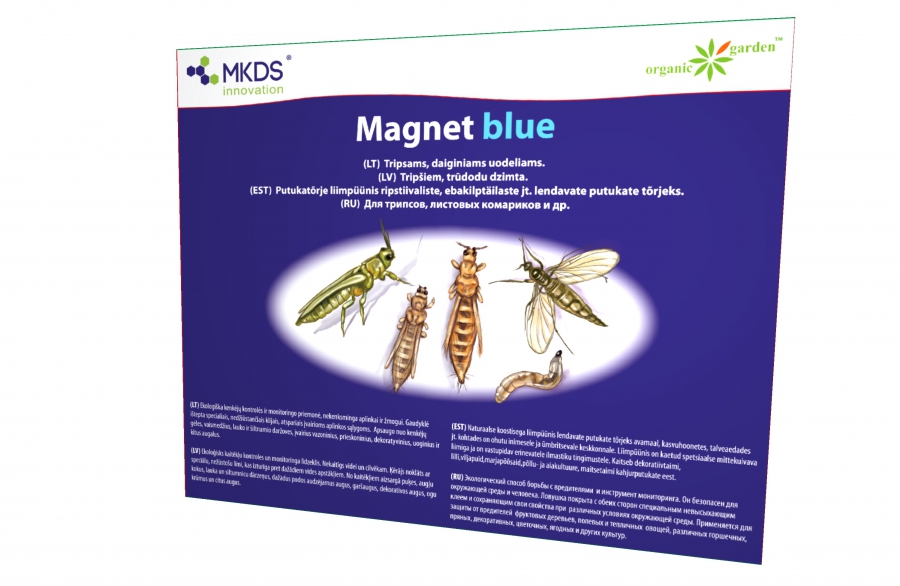Magnet blue liimpüünis