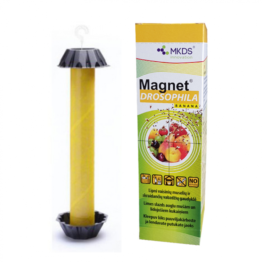 Magnet Drosophila Banana liimpüünis äädikakärbestele