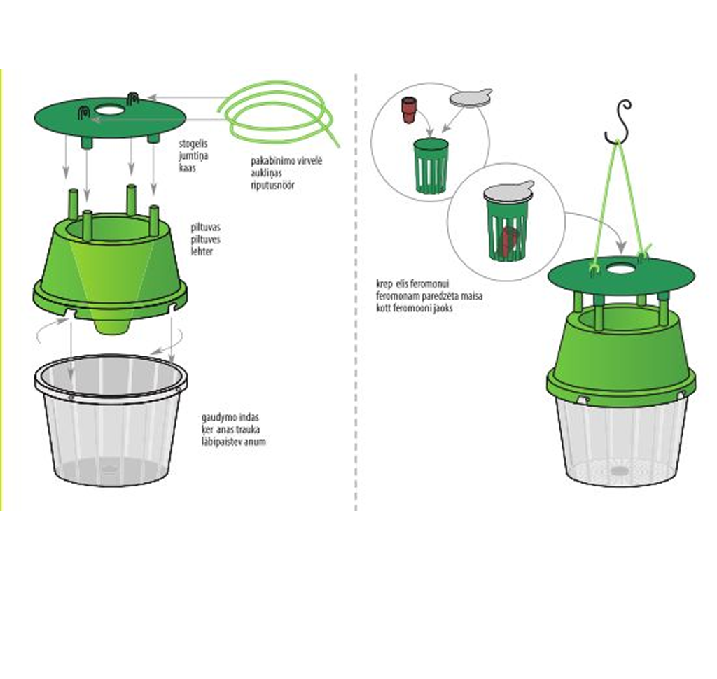 Pherozzip mitmekordne putuka- ja kahjurilõks kasutamine